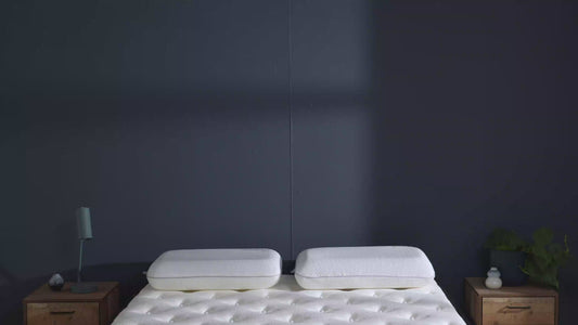 SleepSoul Air Mattress
